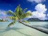 Tropical Escape, Bora Bora, French Polynesia